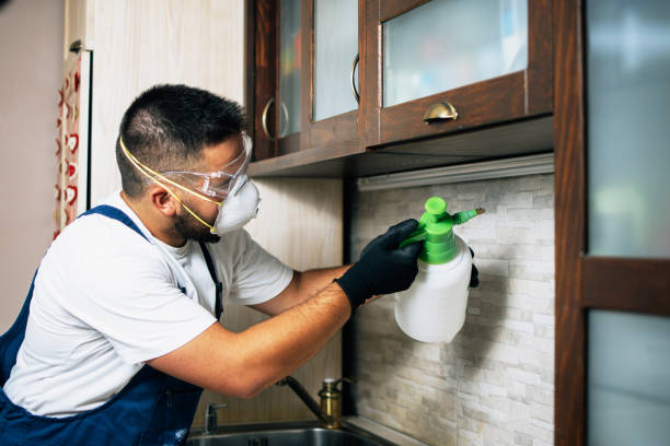 Wasp Removal Services in Quantico Base, VA